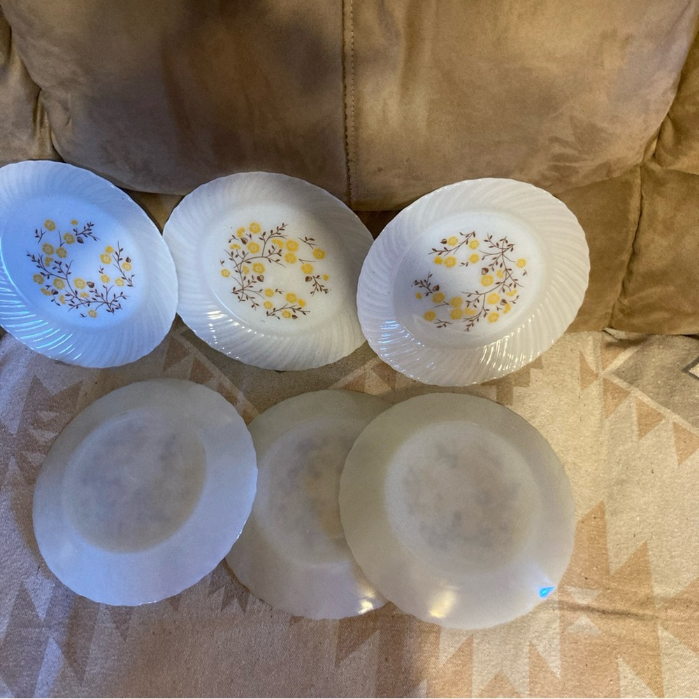 Plates - Picture 9 of 9